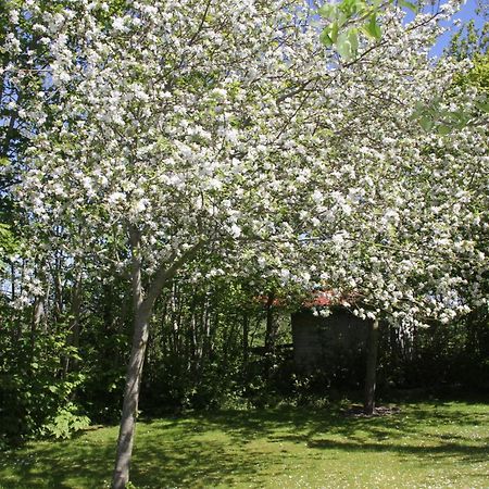 Countryside Eco Natuurhuisjes Эе Экстерьер фото