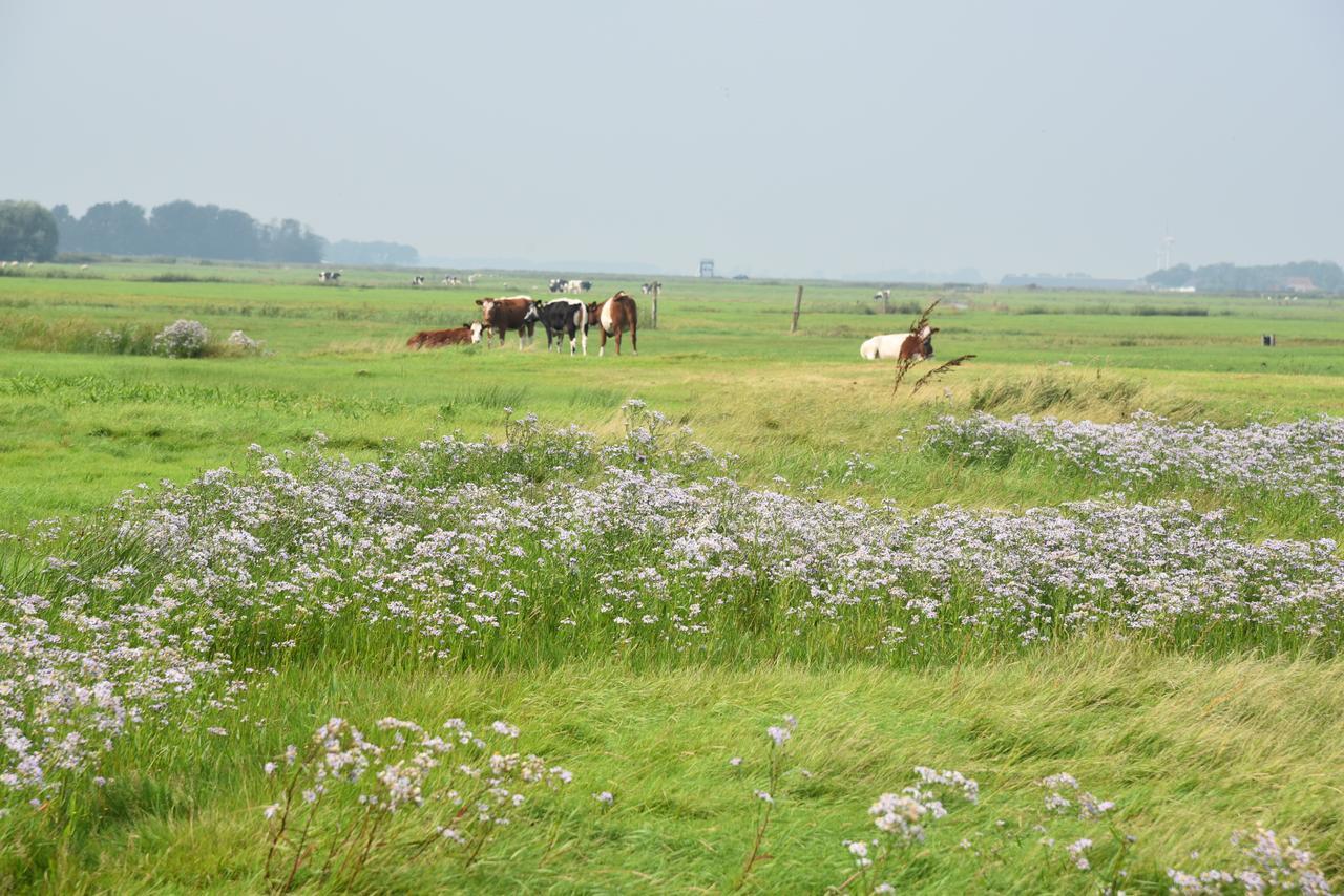 Countryside Eco Natuurhuisjes Эе Экстерьер фото