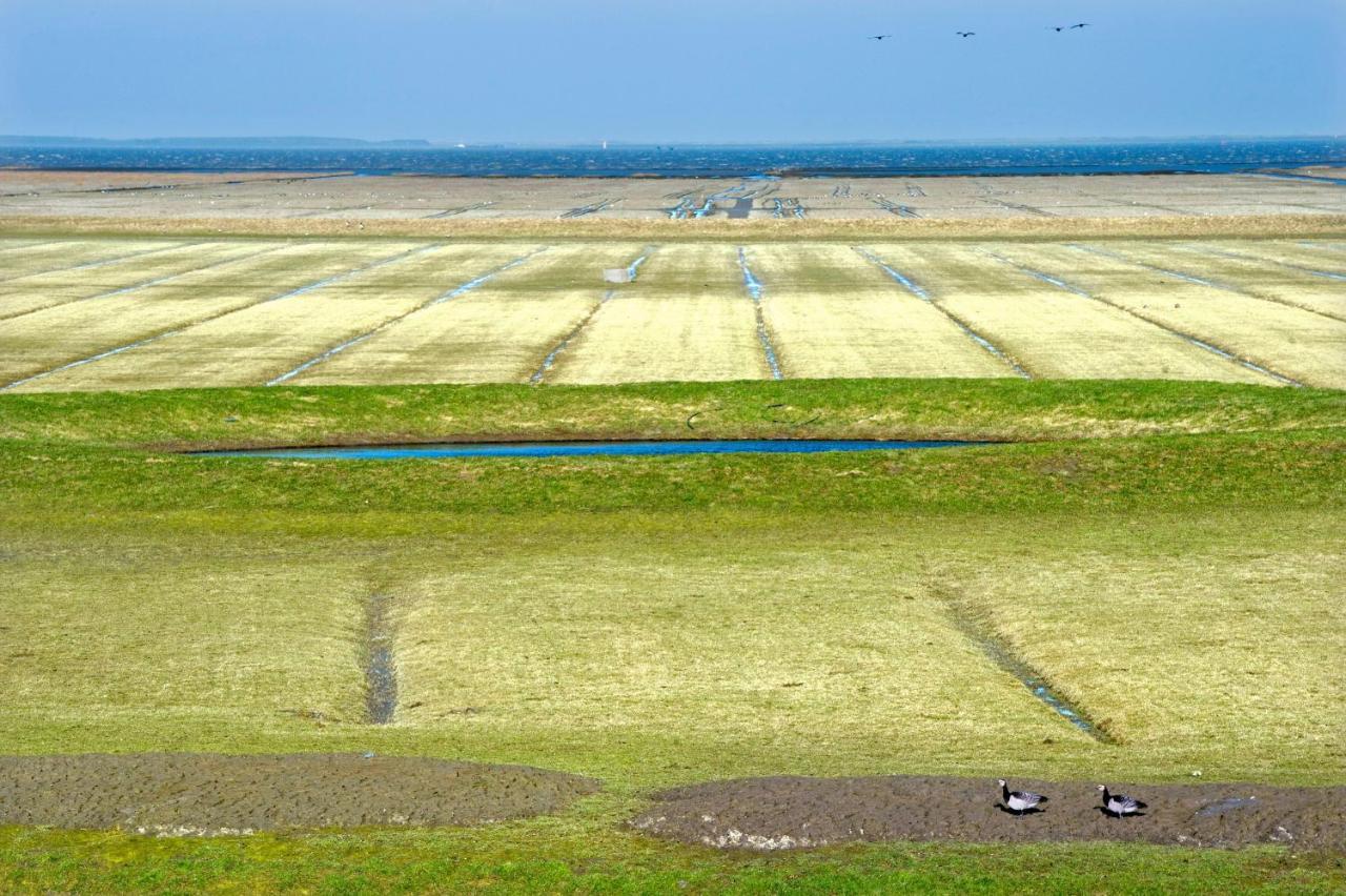 Countryside Eco Natuurhuisjes Эе Экстерьер фото