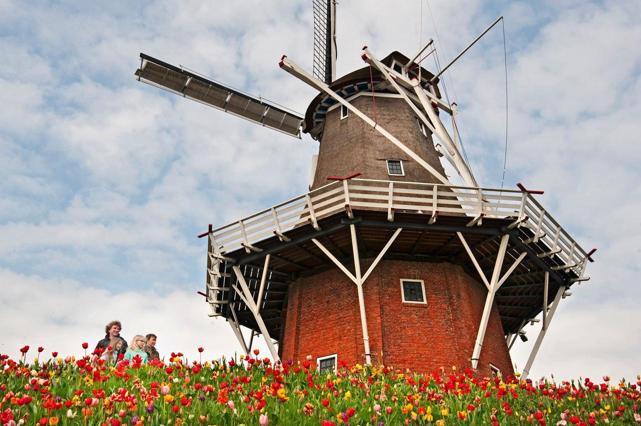 Countryside Eco Natuurhuisjes Эе Экстерьер фото