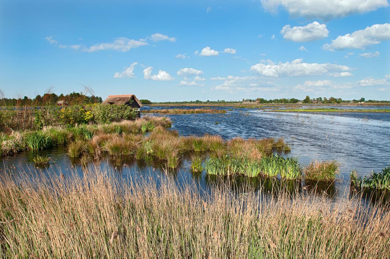 Countryside Eco Natuurhuisjes Эе Экстерьер фото