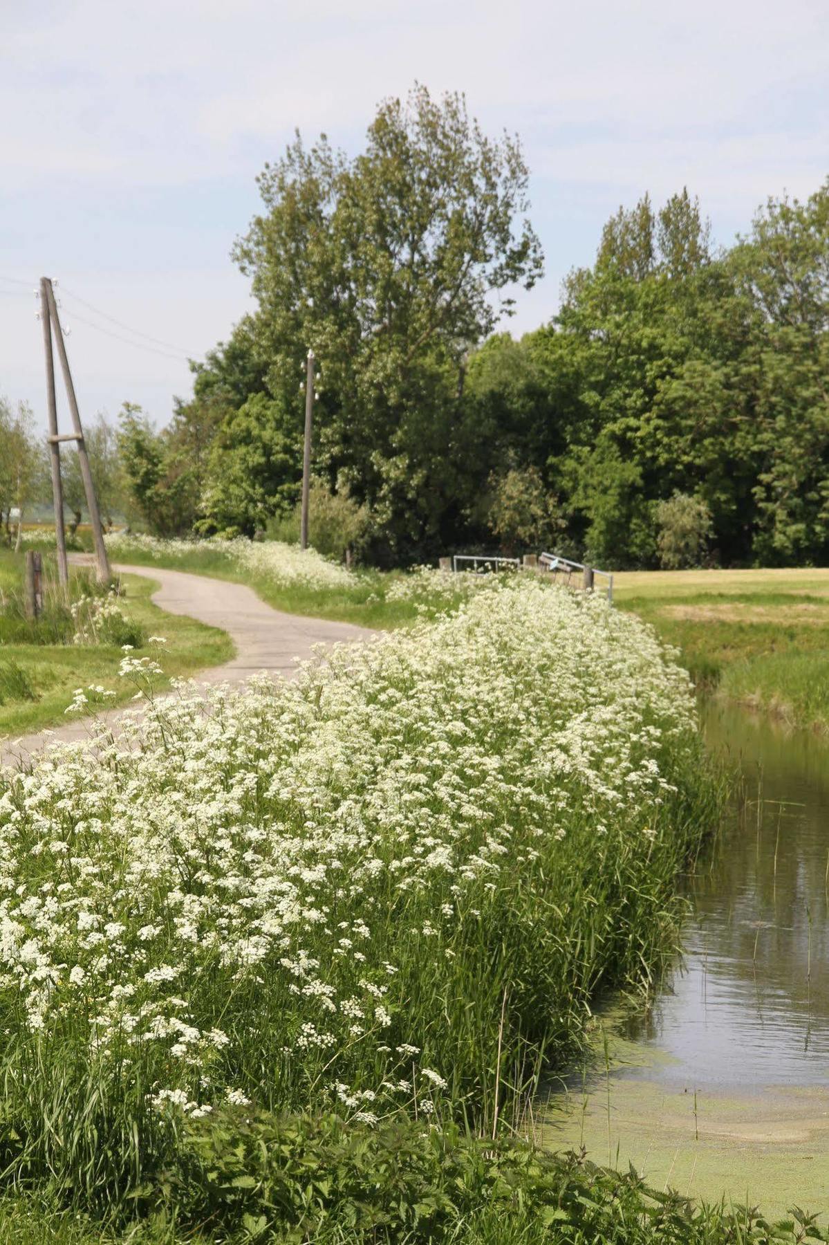Countryside Eco Natuurhuisjes Эе Экстерьер фото