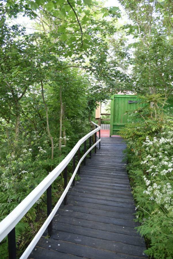 Countryside Eco Natuurhuisjes Эе Экстерьер фото
